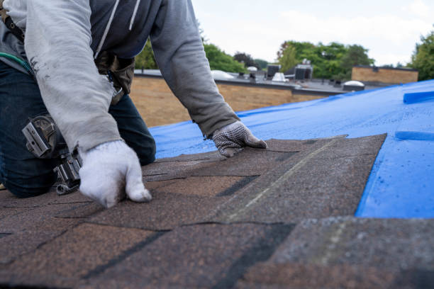 Best Flat Roof Repair Services  in Port Gibson, MS